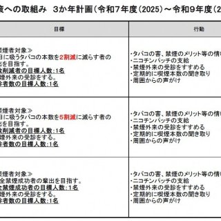 ３か年計画に基づく禁煙目標達成への段階的取組み